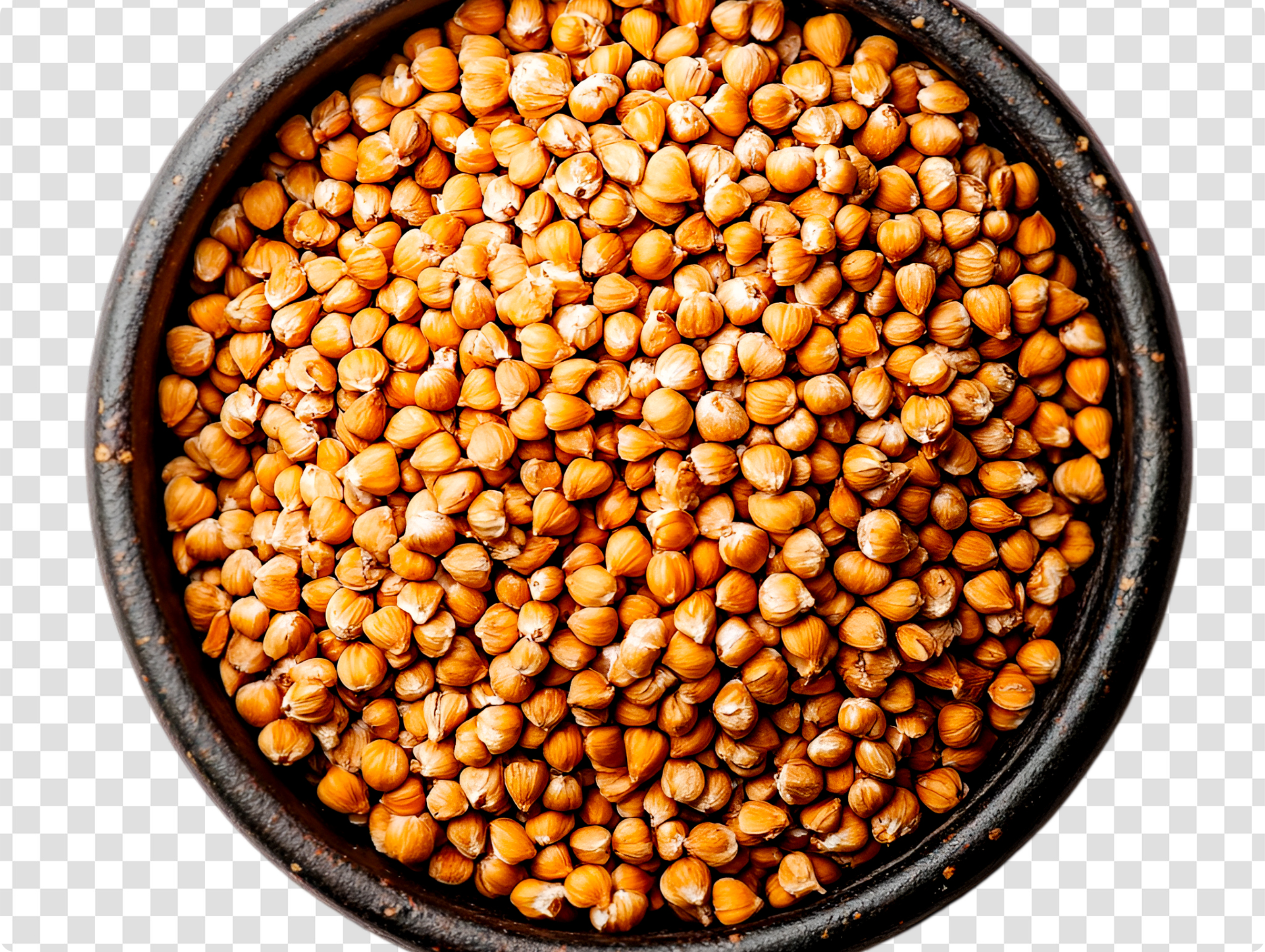Brown Channa